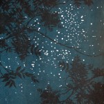 Stars through the trees