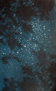 Stars through the trees