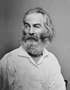 Walt Whitman Brady Phtograph
